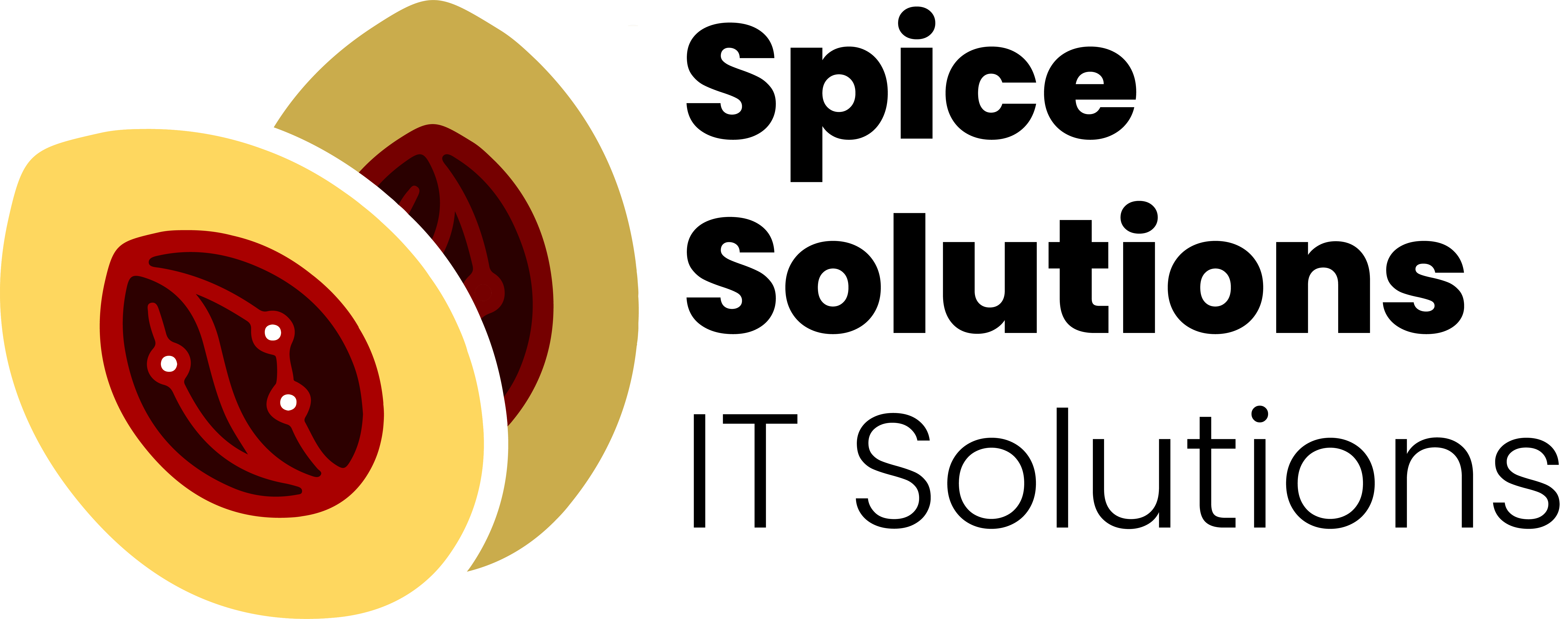 Spice Solutions Logo